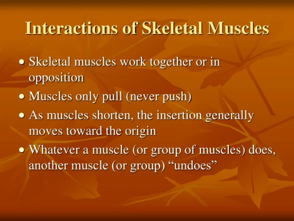 Interactions of Skeletal Muscles