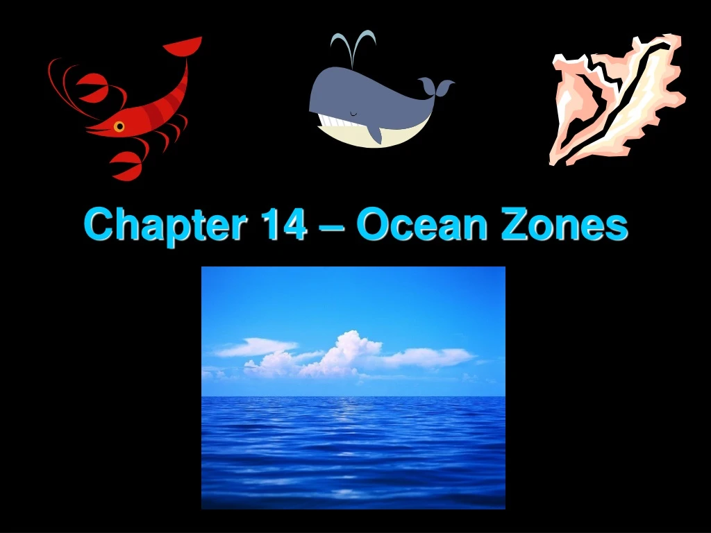 chapter 14 ocean zones
