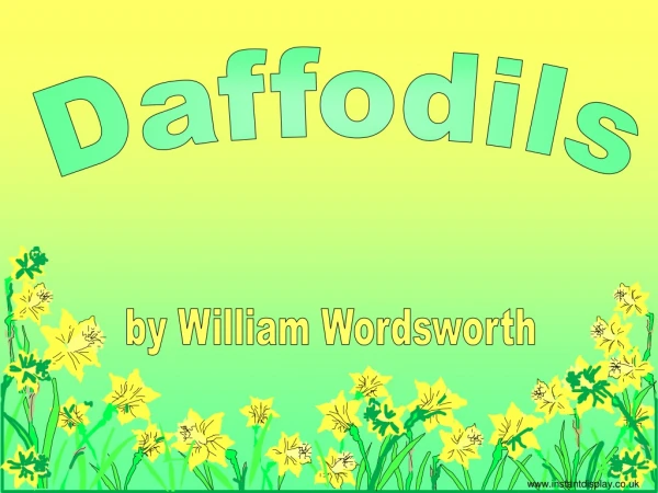 Daffodils