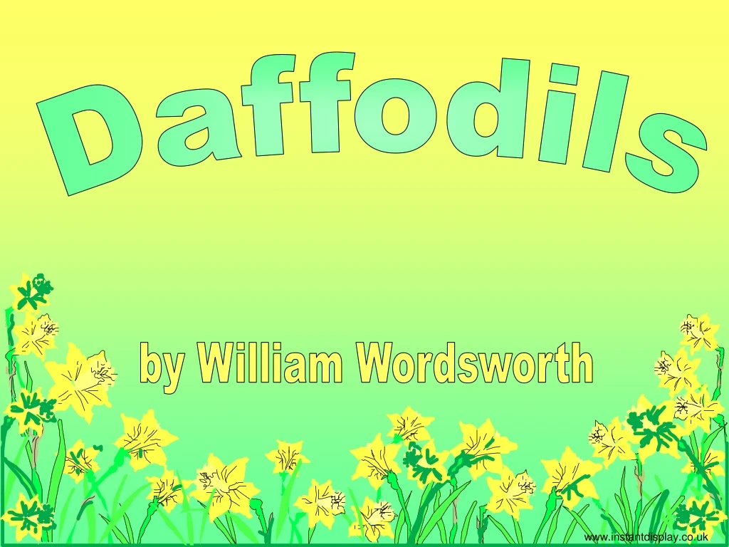 daffodils