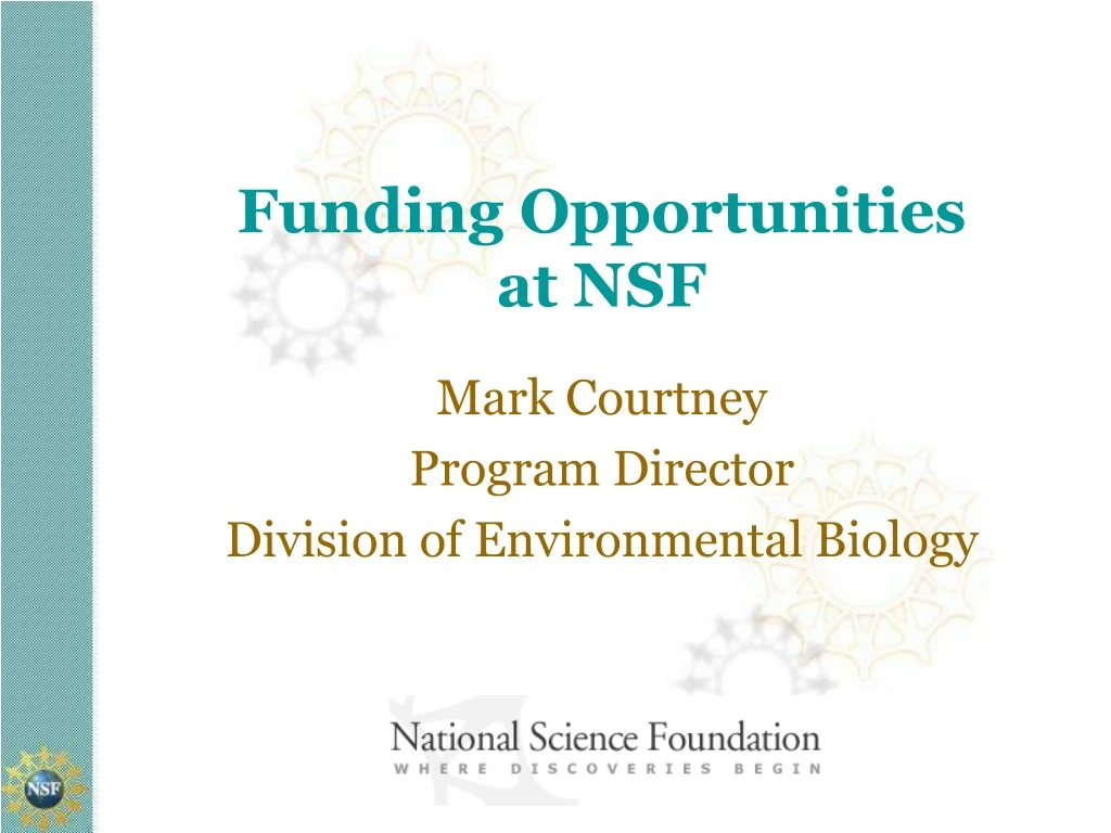 funding opportunities at nsf