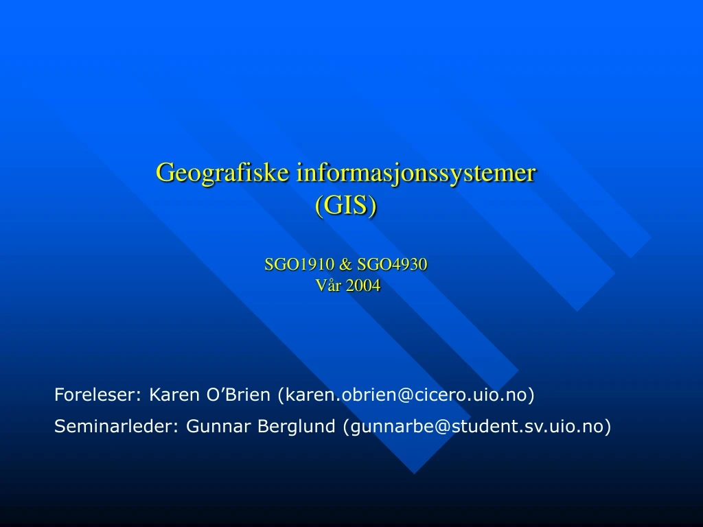 geografiske informasjonssystemer gis sgo1910 sgo4930 v r 2004