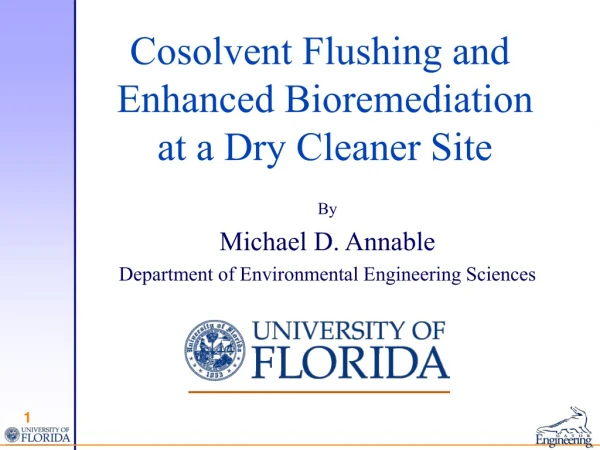 Cosolvent Flushing and  Enhanced Bioremediation  at a Dry Cleaner Site
