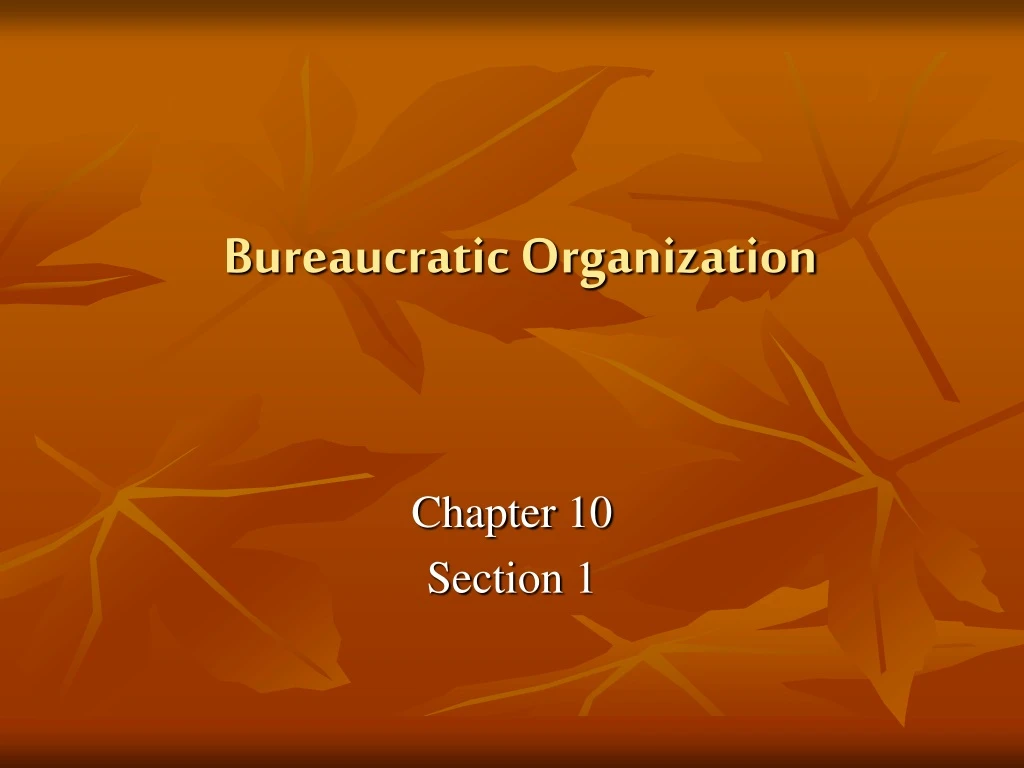 bureaucratic organization