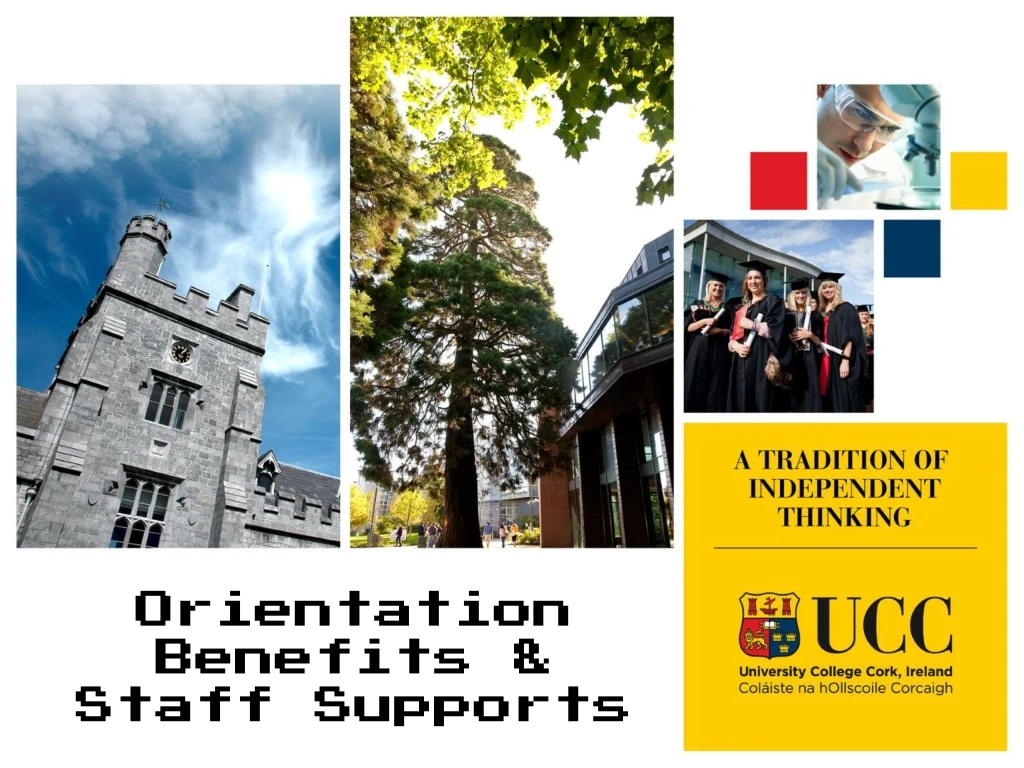 orientation benefits staff supports