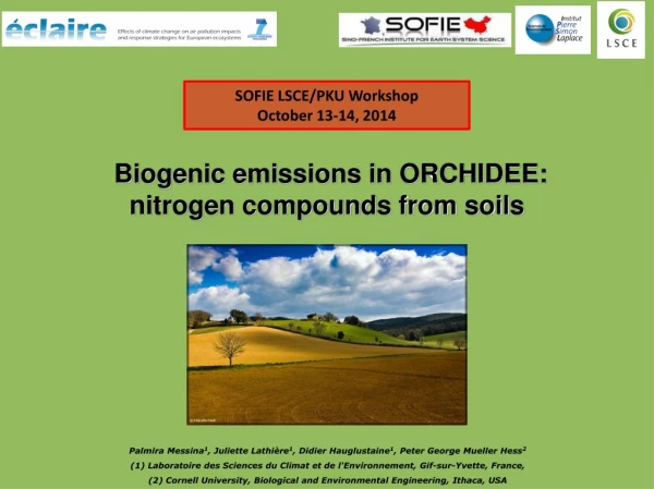 Biogenic emissions in ORCHIDEE: nitrogen compounds from soils