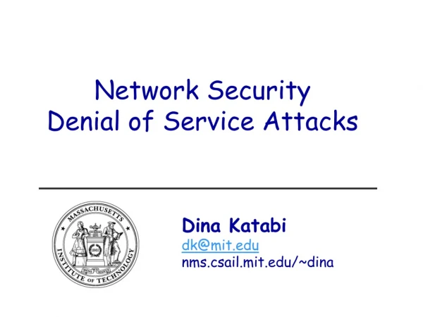 Network Security Denial of Service Attacks