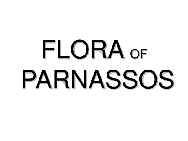 FLORA  OF  PARNASSOS