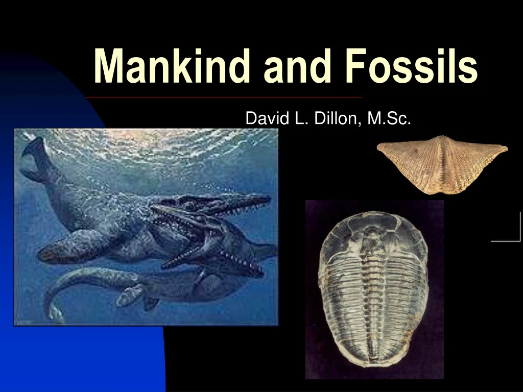 mankind and fossils