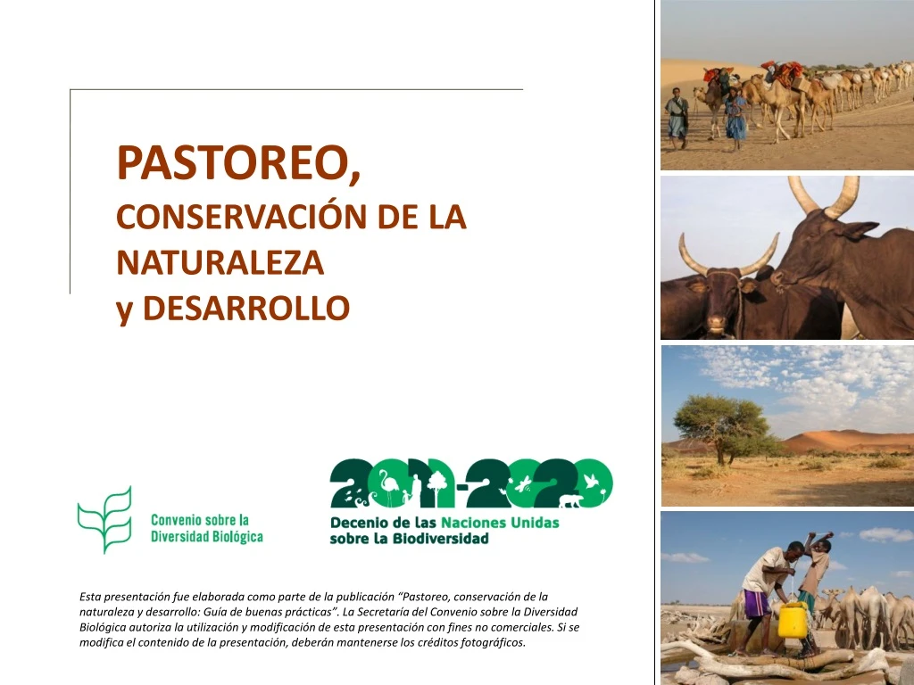 pastoreo conservaci n de la naturaleza