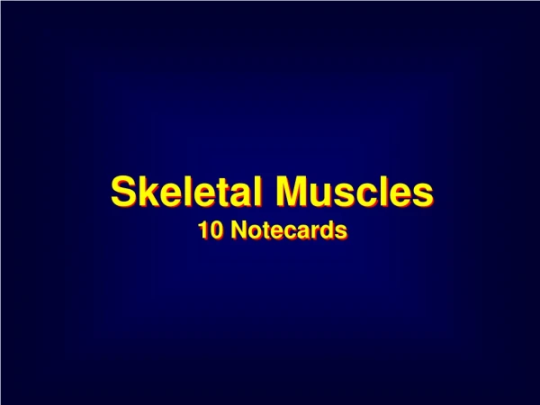 Skeletal Muscles 10 Notecards