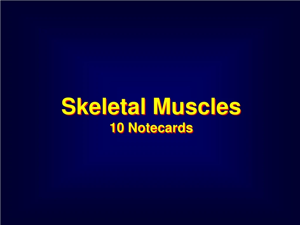skeletal muscles 10 notecards