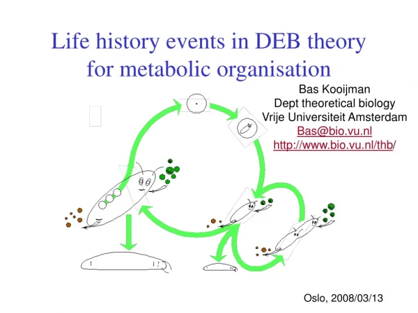 Life history events in DEB theory for metabolic organisation