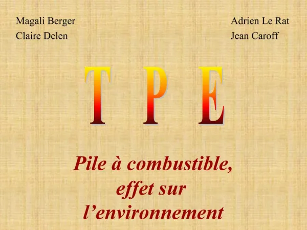 Pile combustible, effet sur l environnement