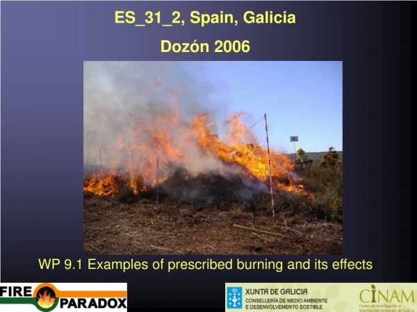 ES_31_2, Spain, Galicia  Dozón 2006 WP 9.1 Examples of prescribed burning and its effects