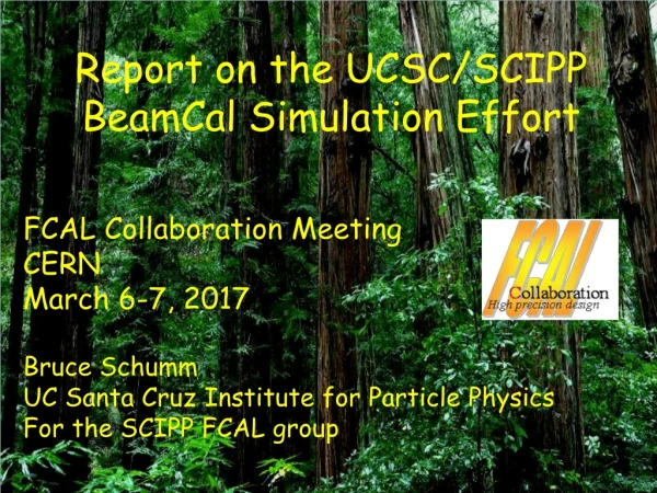Report on the UCSC/SCIPP BeamCal Simulation Effort FCAL Collaboration Meeting CERN March 6-7, 2017
