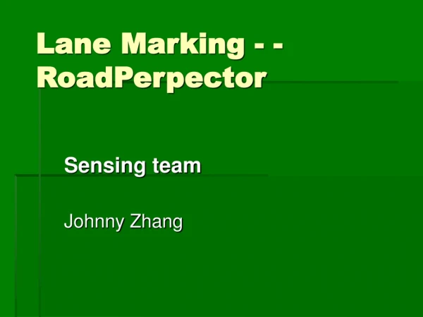 Lane Marking - -RoadPerpector