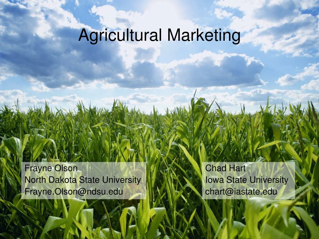 agricultural marketing