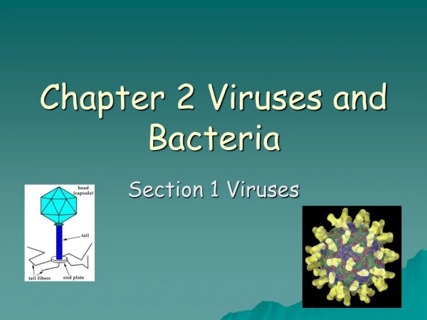 Chapter 2 Viruses and Bacteria