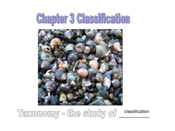 Chapter 3 Classification