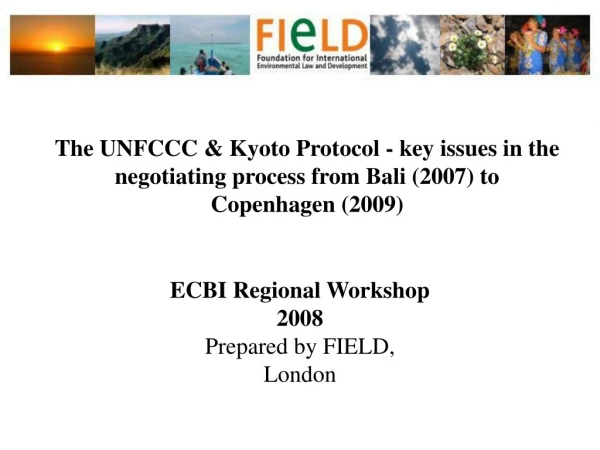 ECBI Regional Workshop  2008 Prepared by FIELD, London