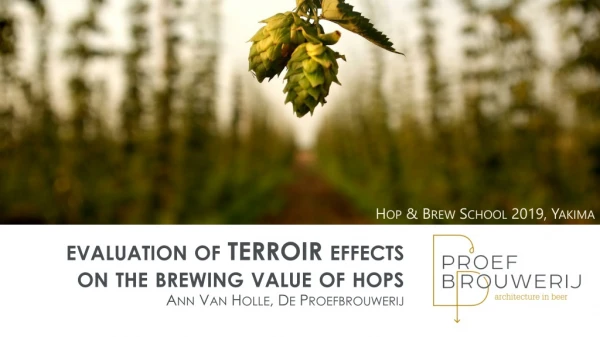 evaluation  of TERROIR  effects on the  brewing  value of  hops Ann Van Holle, De Proefbrouwerij