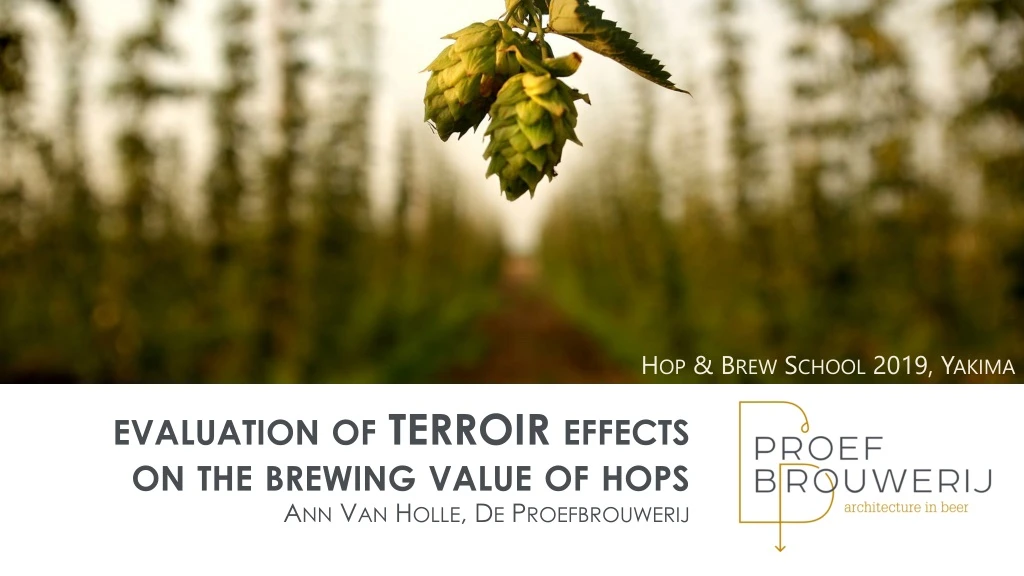 evaluation of terroir effects on the brewing value of hops ann van holle de proefbrouwerij