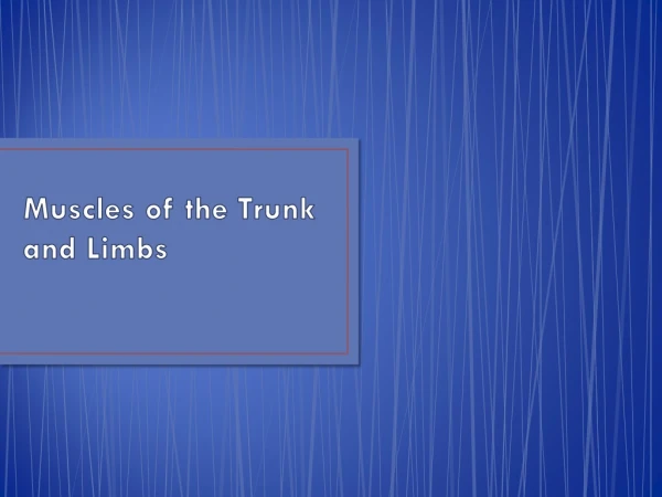 Muscles of the Trunk and Limbs