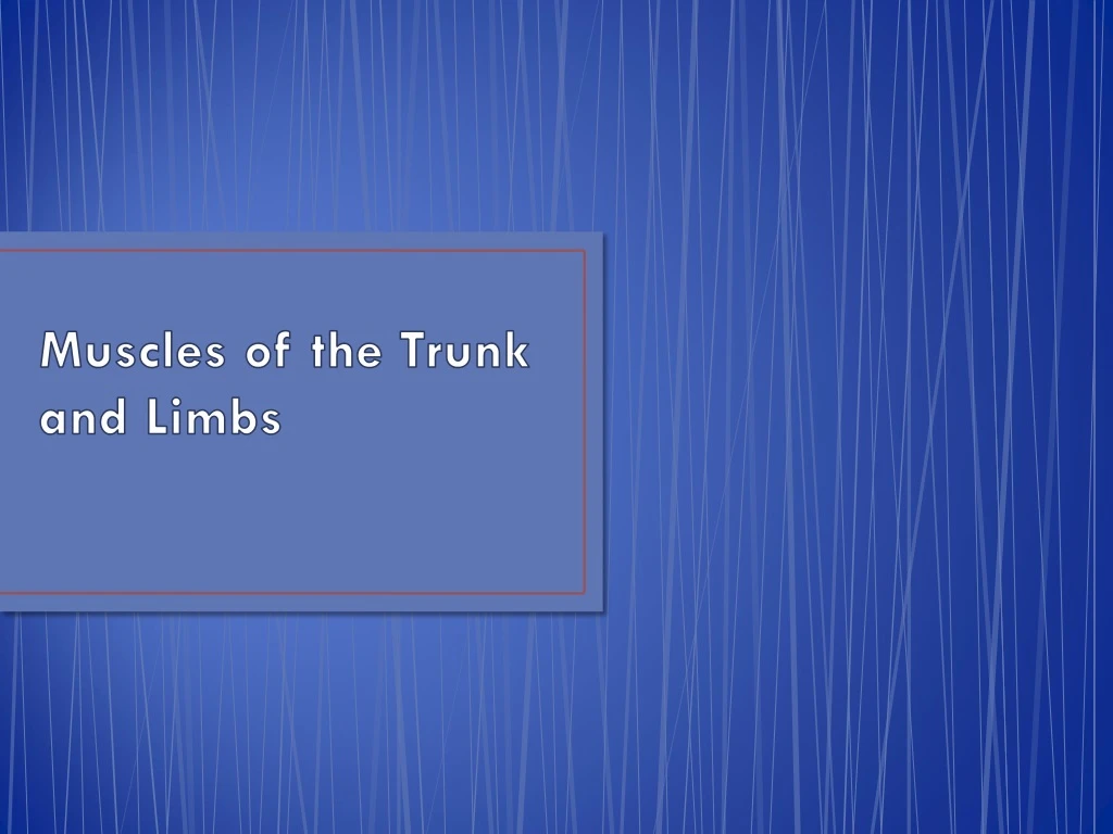 muscles of the trunk and limbs