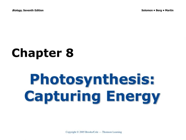 Photosynthesis: Capturing Energy