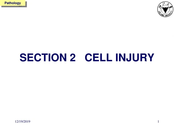 SECTION 2   CELL INJURY
