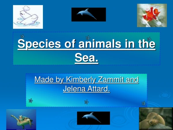 Species of animals in the Sea.