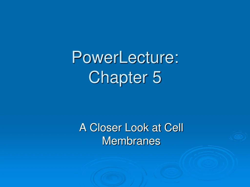 a closer look at cell membranes