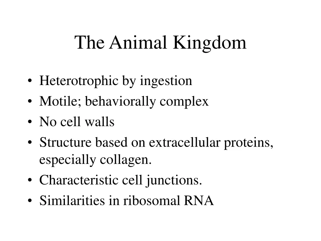 the animal kingdom