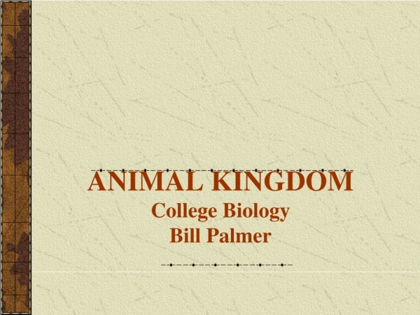 ANIMAL KINGDOM College Biology Bill Palmer