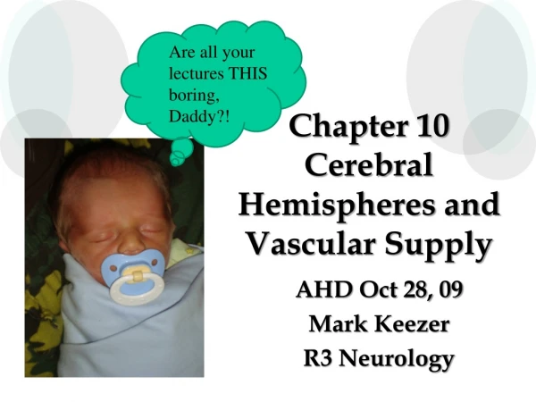Chapter 10 Cerebral Hemispheres and Vascular Supply