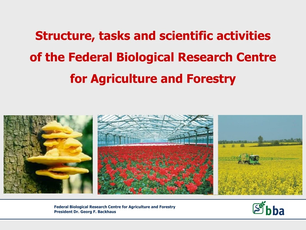 structure tasks and scientific activities