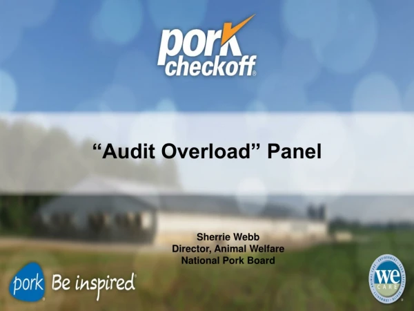 “Audit Overload” Panel