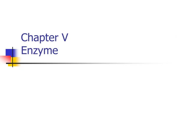 Chapter V  Enzyme