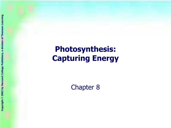 Photosynthesis:  Capturing Energy