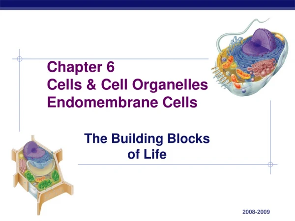 Chapter 6 Cells &amp; Cell Organelles Endomembrane Cells
