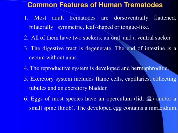 Common Features of Human Trematodes