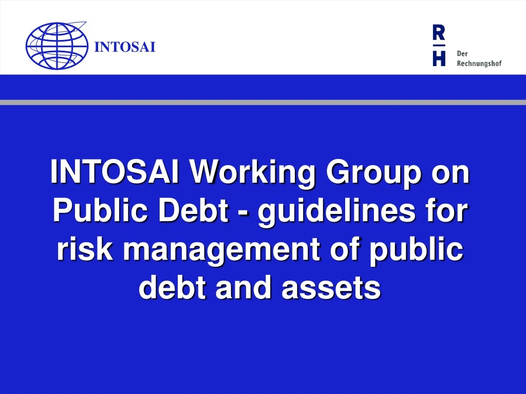 intosai working group on public debt guidelines for risk management of public debt and assets