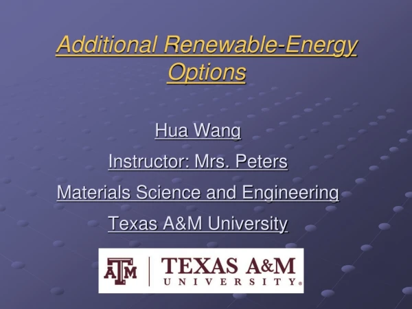Additional Renewable-Energy Options