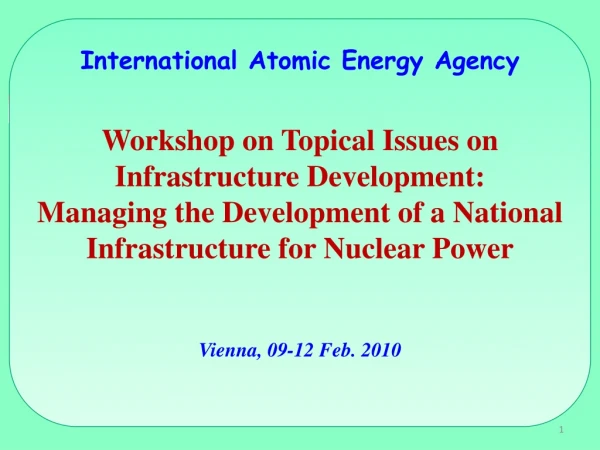 International Atomic Energy Agency  Workshop on Topical Issues on Infrastructure Development: