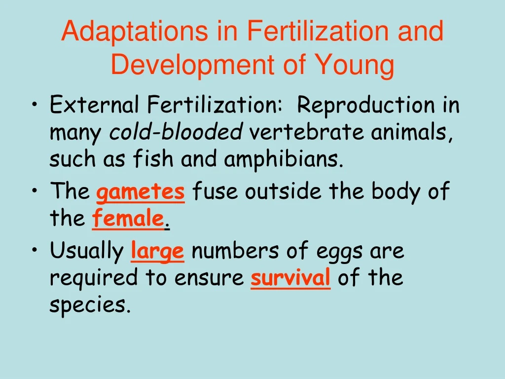 adaptations in fertilization and development of young