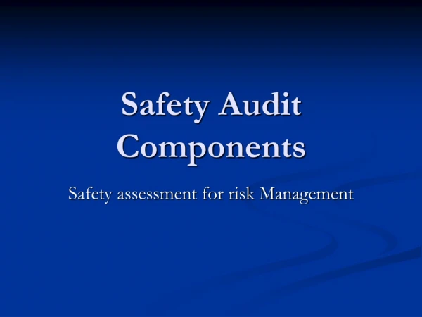 Safety Audit Components