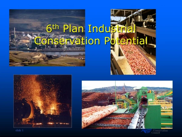 6 th  Plan Industrial Conservation Potential