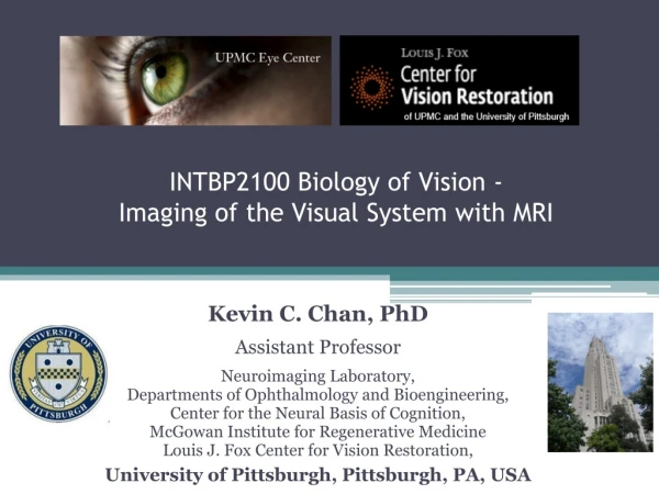 INTBP2100 Biology of Vision -  Imaging of the Visual System with MRI