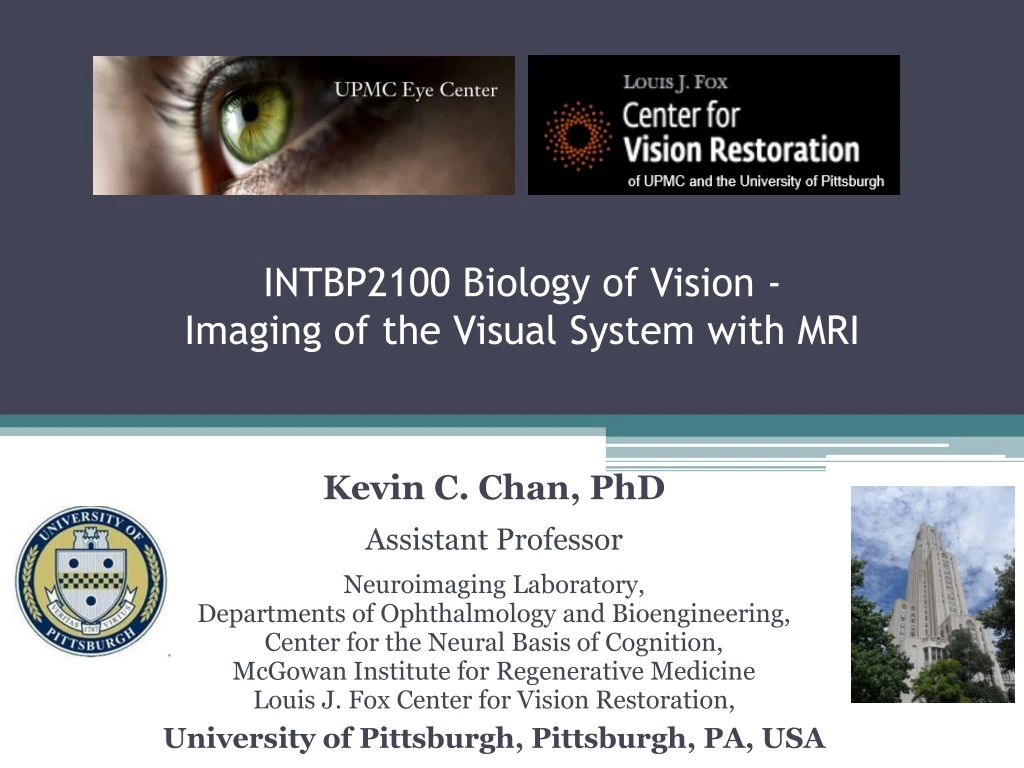 intbp2100 biology of vision imaging of the visual system with mri